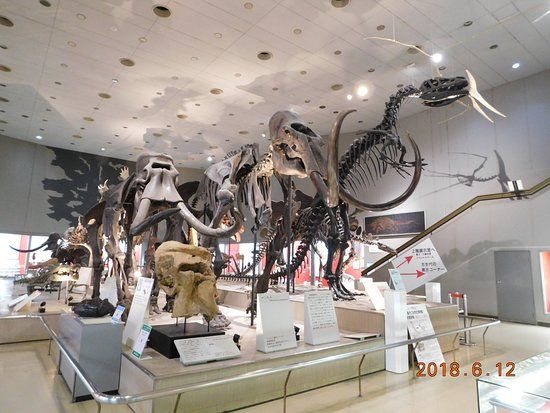 Osaka Museum of Natural History